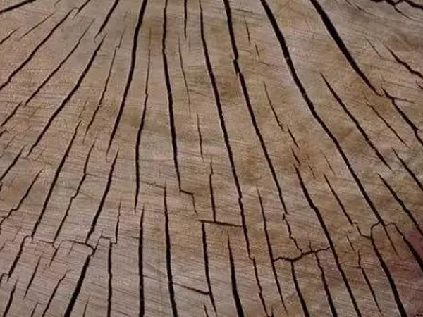 山东防止菠萝格木材板材开裂，八个方法